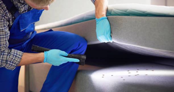 Best Pest Control Treatment  in Edwardsville, PA